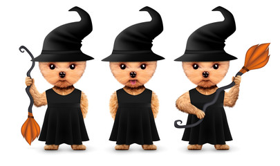 Funny animal witch. Halloween and Dead day concept