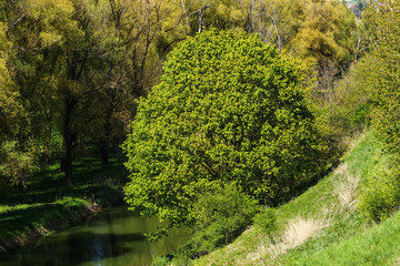 Naklejka premium Landschaft in der Nähe von Eining in Bayern