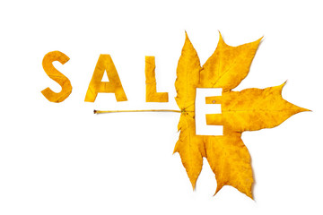 Autumn discounts. Letters carved from wedge leaves