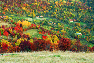 Autumn landscape in the Romanian Carpathians, Europe