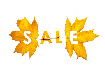 Autumn discounts. Letters carved from wedge leaves