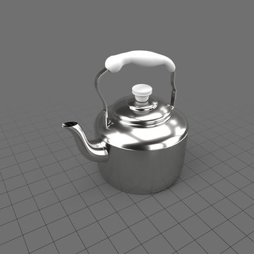 Metal tea kettle