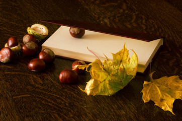 Książka - czytanie książki © ChemiQ