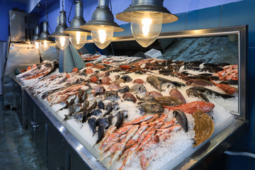 Vielzahl von Meeresfischen auf der Theke in einem griechischen Fischgeschäft.