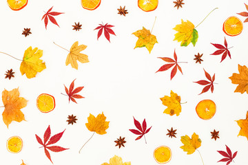 Fototapeta na wymiar Round frame of autumn maple leaves on white background. Flat lay, top view.