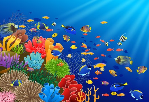 Fish swim in the underwater and coral. Vector illustration