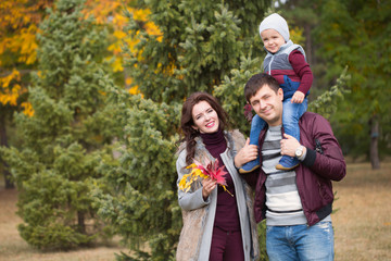 Fototapeta premium family walks in the autumn park