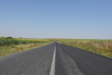 Straight village road