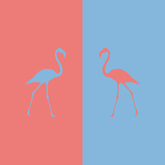 illustration flamingo beautiful