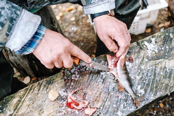 Fisherman cleaning fish on wooden board outdoors