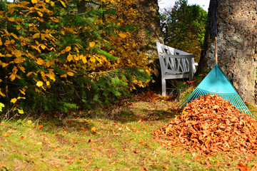Laub im Garten harken im Herbst