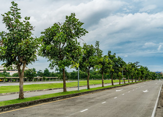 Road in the park