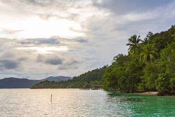 Beach view in Raja Ampat, West Papua, Indonesia.