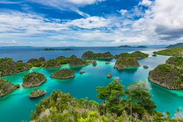 Fotobehang Pianemo Islands, Blue Lagoon with Green Rockes, Raja Ampat, West Papua. Indonesia © mariusltu