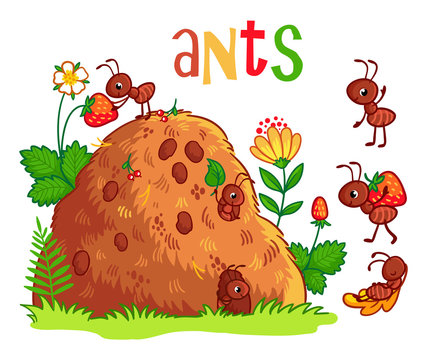 Vector illustration with an anthill and ants. Insects in the cartoon style.