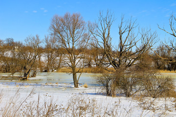 Winter meadow with frozen water and trees