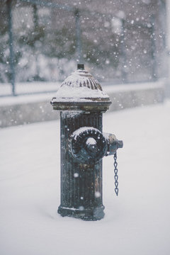 Fire hydrant in the snow