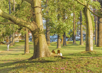 Villa Biarritz Park, Montevideo, Uruguay