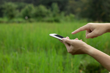 Hand hold mobile on green nature field, technology concept