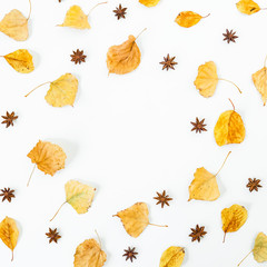 Fall concept of autumn leaves and anise on white background. Flat lay, top view