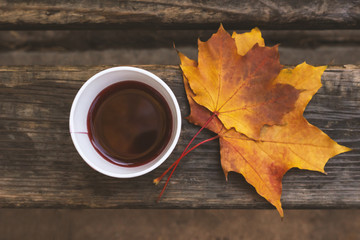 Paper cup with mulled wine on a wooden bench in the park. Maple leaves. Autumn mood