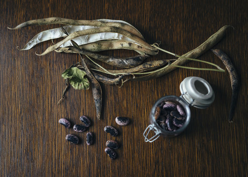 Removing seeds from Runner Bean pods, to store for sowing the following season.