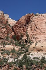 Zion National Park