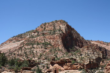 Zion National Park
