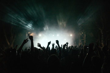 Concert crowd at live music festival