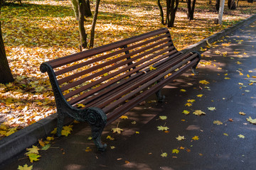 лавочка в осеннем парке