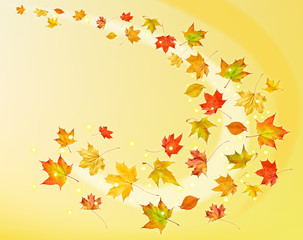Falling leaves. Autumn background.