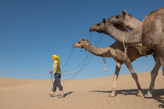 camel herder in the desert