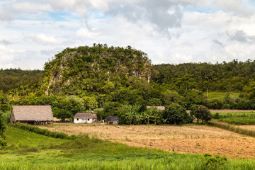 Vinales, Cuba,
