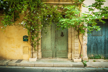 Architecture - historic building front elevation and plants