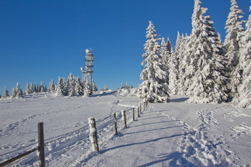 Blaue Stunde im Winter