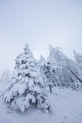 Mystischer Winter