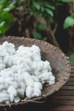 Cotton
