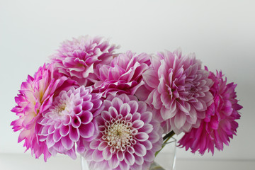 Pink und wei&szlig;e Blumen in einer Vase