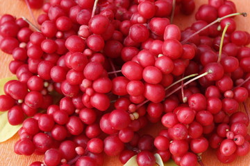 heap of berries of schisandra