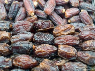 Phoenix dactylifera fruit