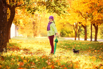 teenage girl to spend time with autumn leaves.girl in the autumn leaves in the Park in the fresh air.