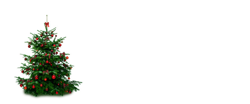 Weihnachtsbaum