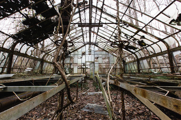Nature reclaims an abandoned greenhouse.