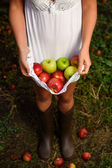 Girl with white dress hold apples - 177183646