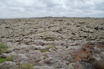 アイスランド　エルドフラウン　ルピナス　南部観光　苔　絶景　夏　iceland eldhraun  island summer
