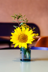 Yellow flower, the Daisy stands in a vase in a small cafe