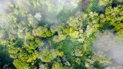 DCIM\100MEDIA\DJI_0022.JPG