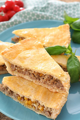 Pieces of delicious meat pie on plate