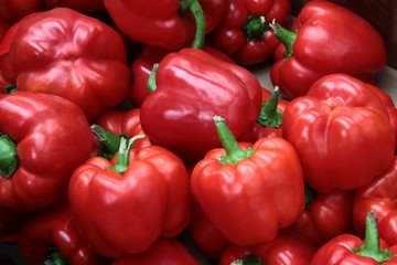 ripe,raw,multicolor peppers