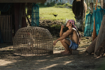 Rural farmer with chicken at countryside,Thailand.The lifestyle of farmer and chickens is a pet in farmland.